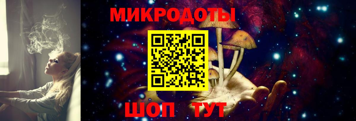 Муром  Псилоцибиновые грибы мухоморы  Галлюциногенные грибы Magic Shrooms  Вход с VPN 